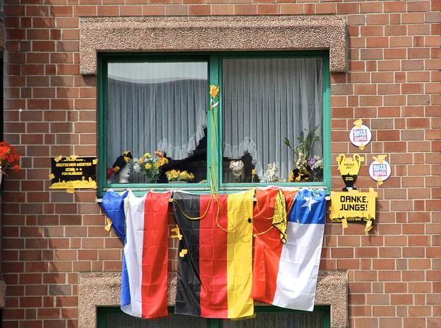 近年的新星 近年的新星