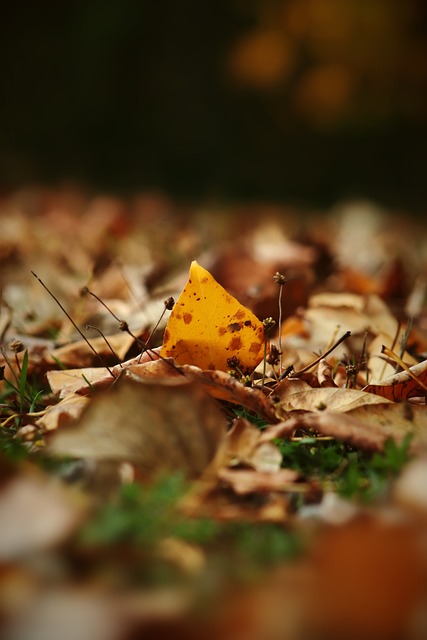 乔丹的经典 乔丹的经典