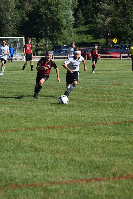 分析的基础 分析的基础