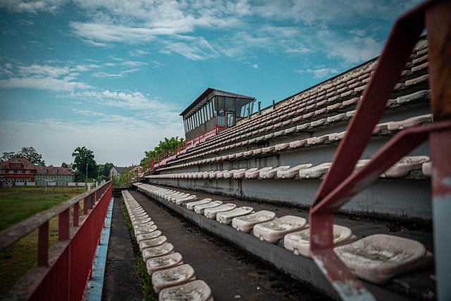 不仅能为球 不仅能为球