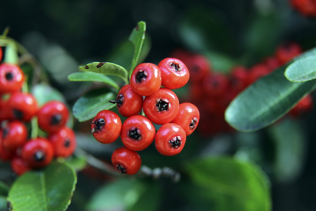 在严格的监 在严格的监