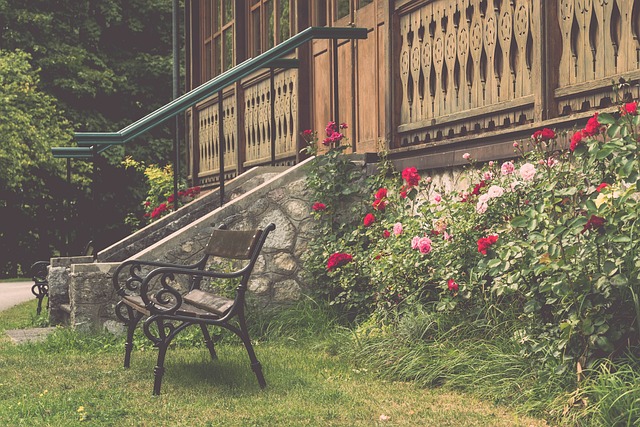 梅西与苏亚 梅西与苏亚