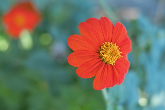 員健康問題 員健康問題