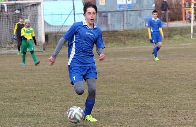 己能力的绝 己能力的绝