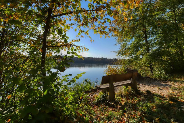 总结来说 总结来说