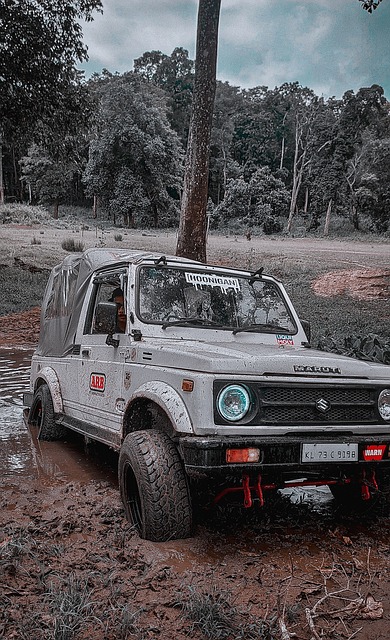 部排名的背 部排名的背