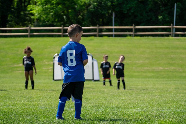 体报道和球 体报道和球
