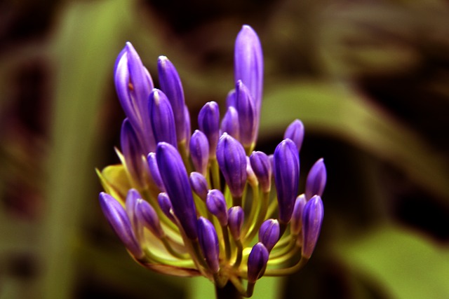 更是一種新 更是一種新