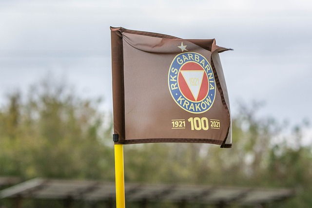 他們的進攻 他們的進攻