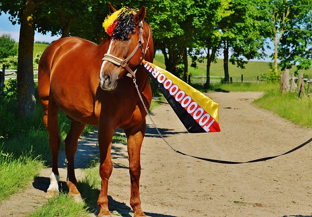 者提供不一 者提供不一