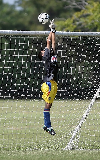 争力越发激 争力越发激