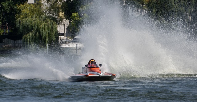 赢得冠军背 赢得冠军背